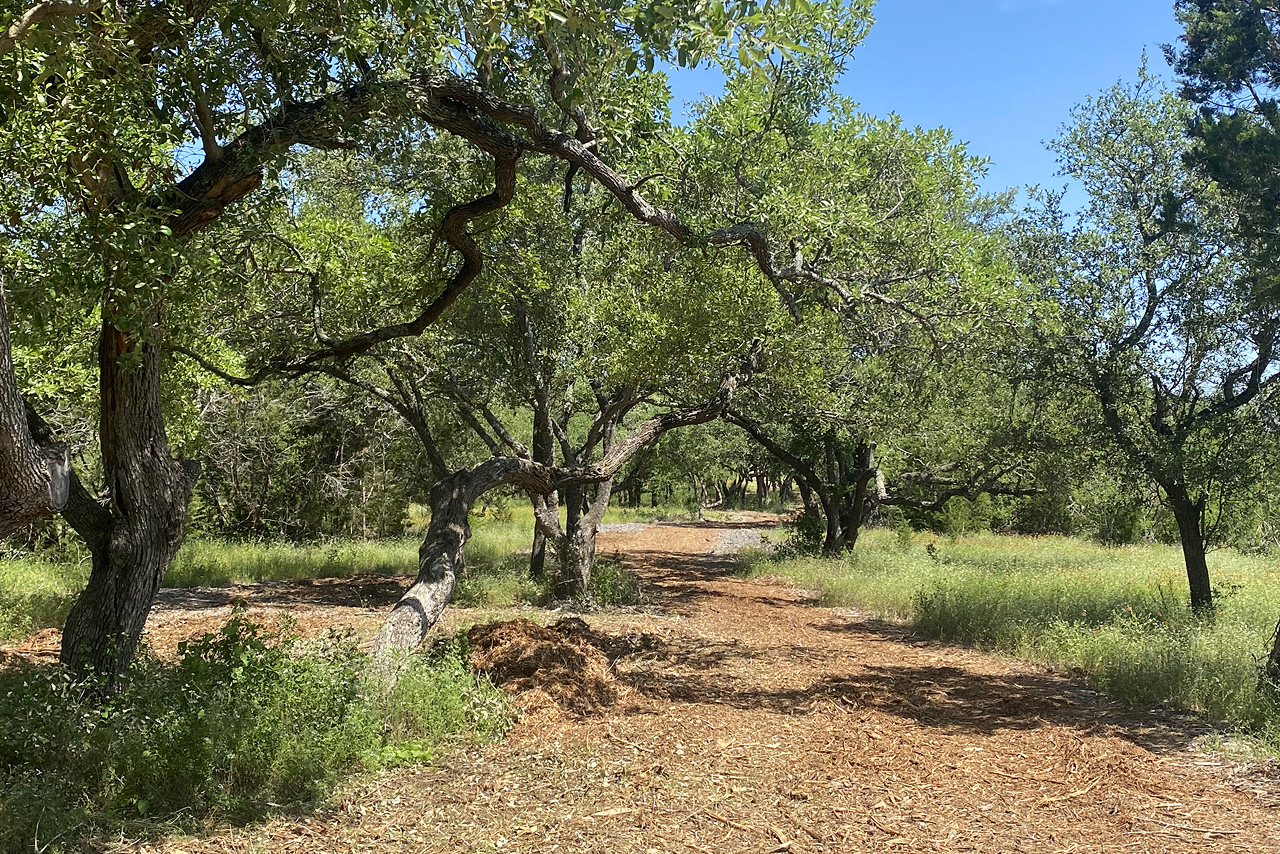 Spicewood Trails Hill Country Acreage Homesites